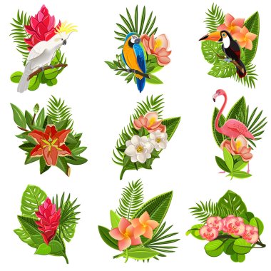 Tropical birds and flowers pictograms set clipart