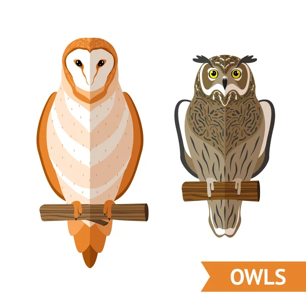 Owls Front Set — Stock Vector