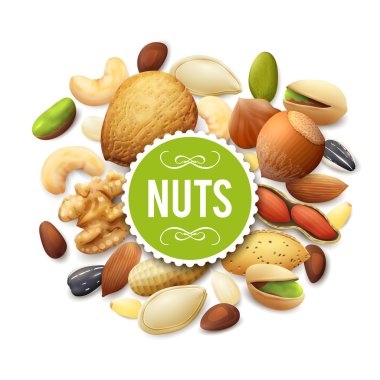 Nut Collection Illustration clipart