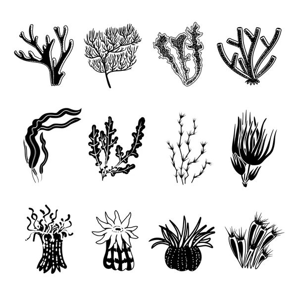 珊瑚的黑色套 — 图库矢量图片