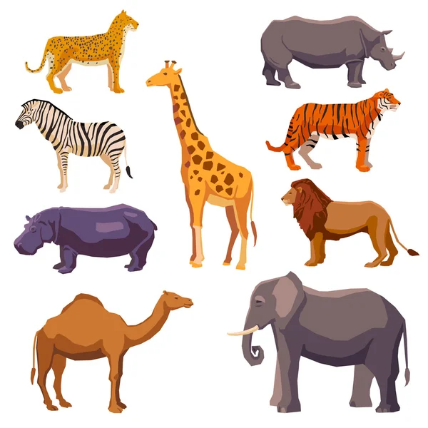 África animal decorativo conjunto — Vector de stock