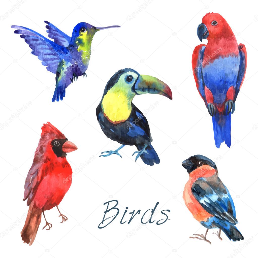 Exotic tropical birds watercolor icons set