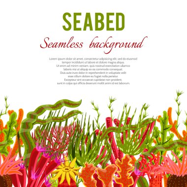 Coral Seabed Background clipart