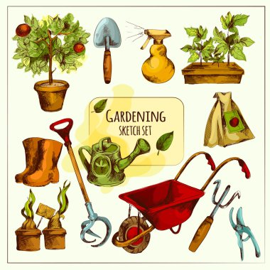 Gardening Sketch Set Colored