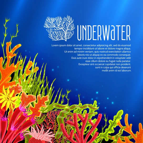 Onderwater koralen poster — Stockvector