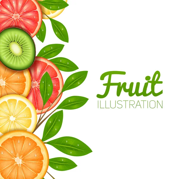 Illustrazione della frutta estiva — Vettoriale Stock