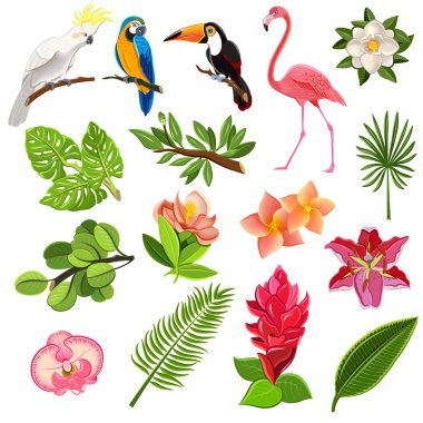 Tropical birds and plants pictograms set clipart