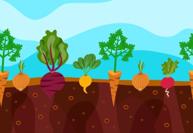 Growing Vegetables Illustration