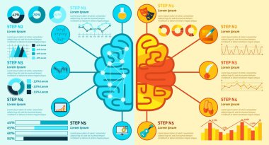 Sol ve sağ beyin Infographics