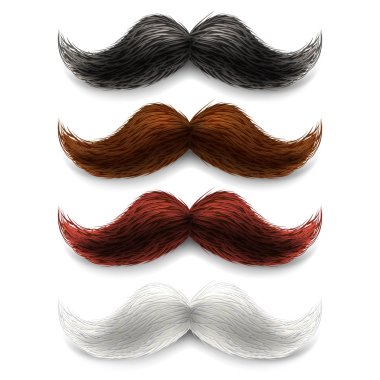Fake moustaches color set