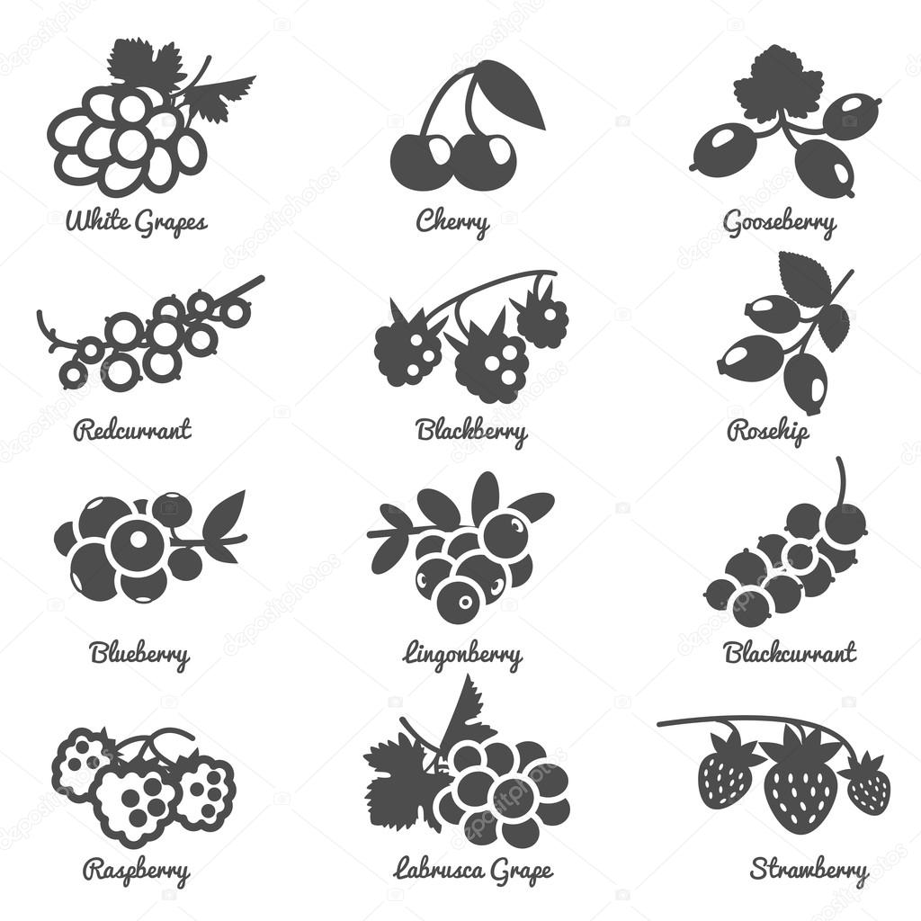 Berries Flat Icons Set