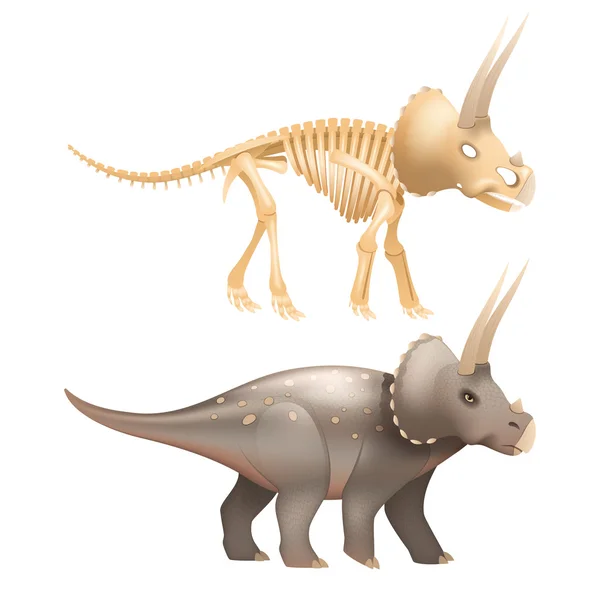 Triceratops arte dinosaurio con esqueleto — Vector de stock