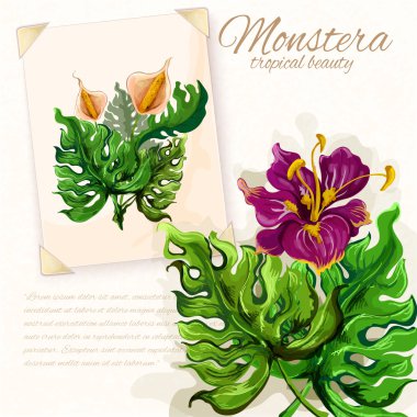 Monstera hibiscus çiçek tasarım ile yaprakları 