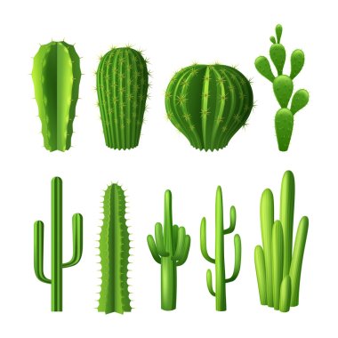Cactus Realistic Set clipart