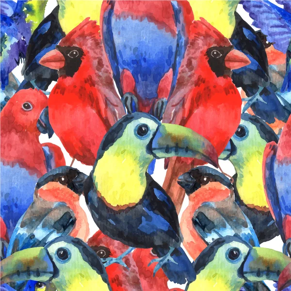 Oiseaux tropicaux motif sans couture coloré — Image vectorielle