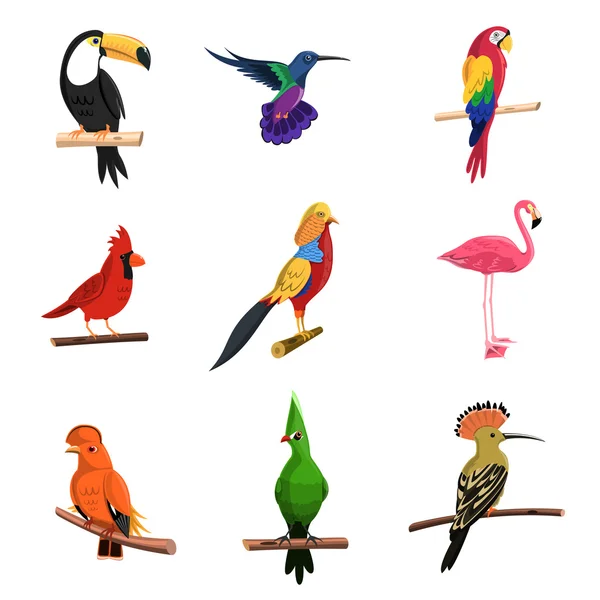 Ensemble d'oiseaux exotiques — Image vectorielle