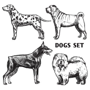 Kroki köpekler portre Set