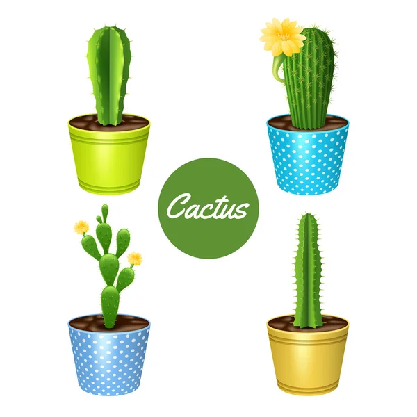 Ensemble de cactus dans des pots — Image vectorielle