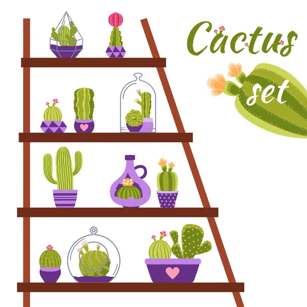 Estante de cactus Ilustración — Vector de stock