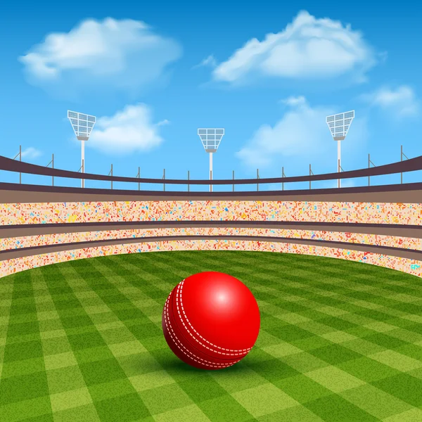 Stadium Of Cricket — Stock Vector