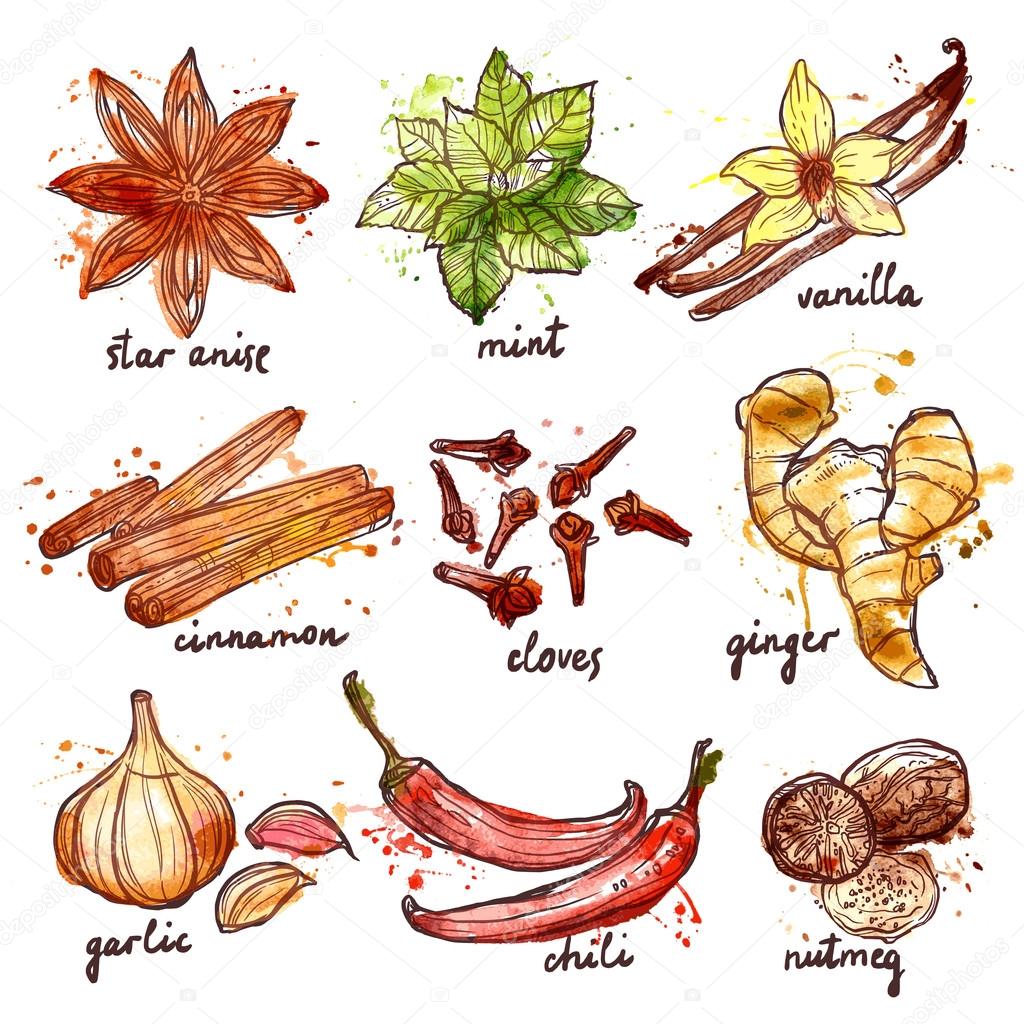 Herbs And Spices Icons Set