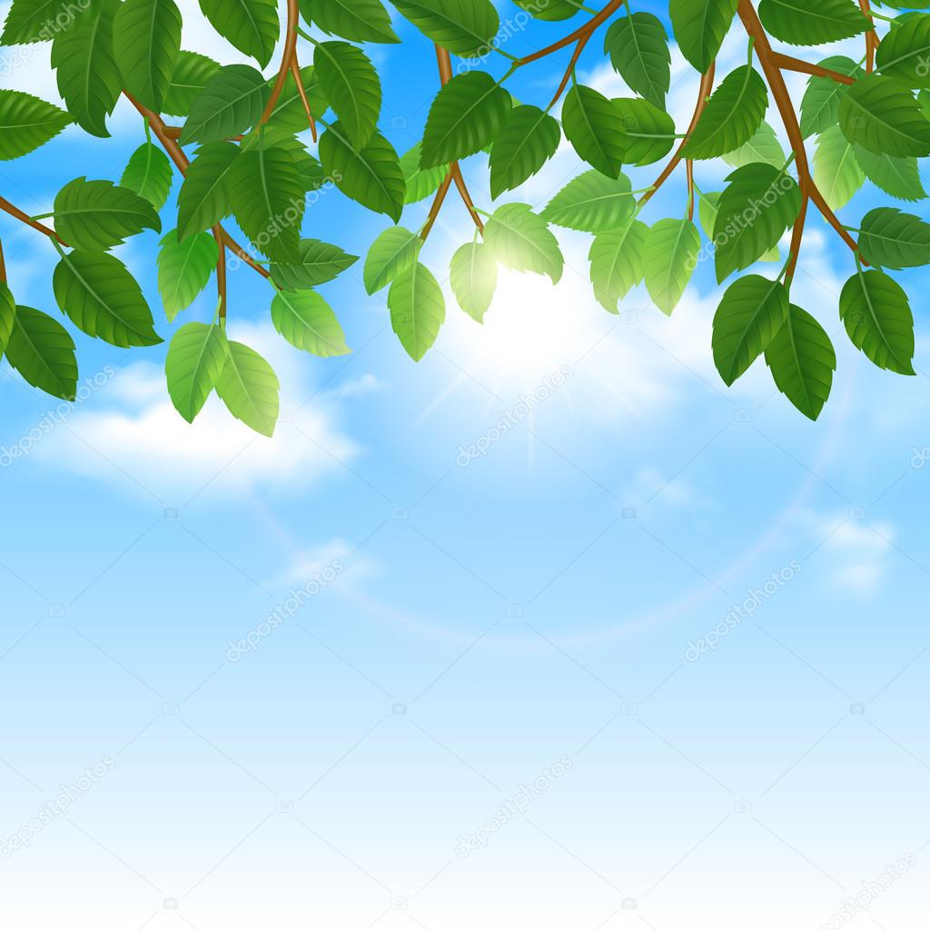 Green leaves and sky background border