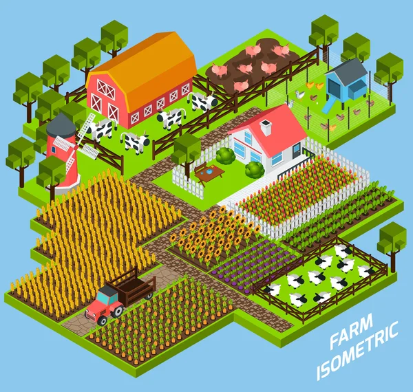 Farm complex isometric blocks composition — Stok Vektör