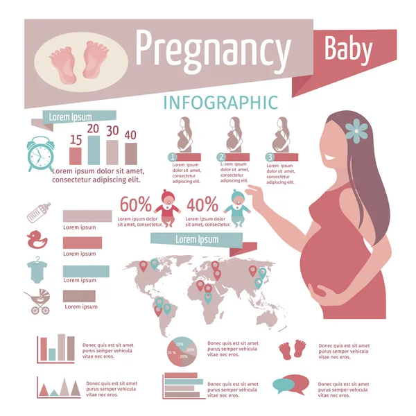 Pregnancy Infographics Set — Stock Vector