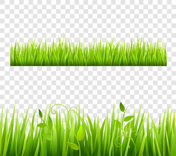 Frontera de hierba Tileable Transparente — Vector de stock