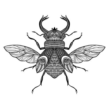 Dekoratif böcek kroki