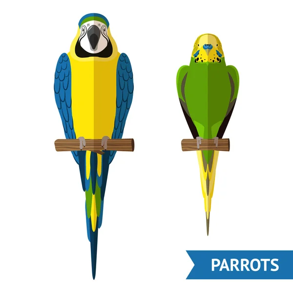 Set pappagalli seduti — Vettoriale Stock
