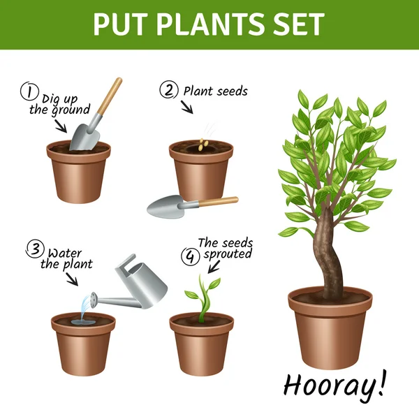 Putting  Plants Icons Set — Stock Vector