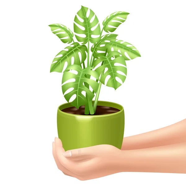 Segurando uma ilustração Houseplant — Vetor de Stock