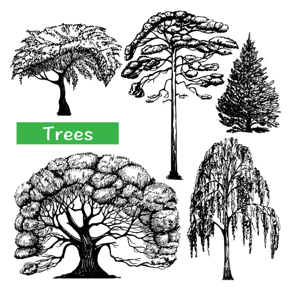 Árvores mão desenhado conjunto de ícones pretos —  Vetores de Stock