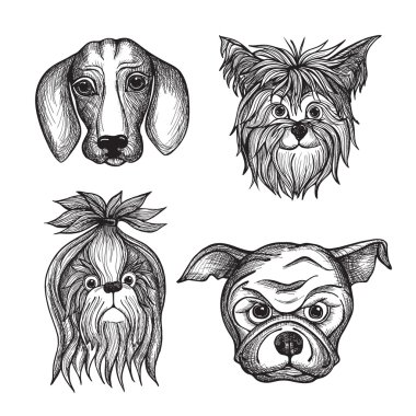 Elle çizilmiş köpek yüzler Set