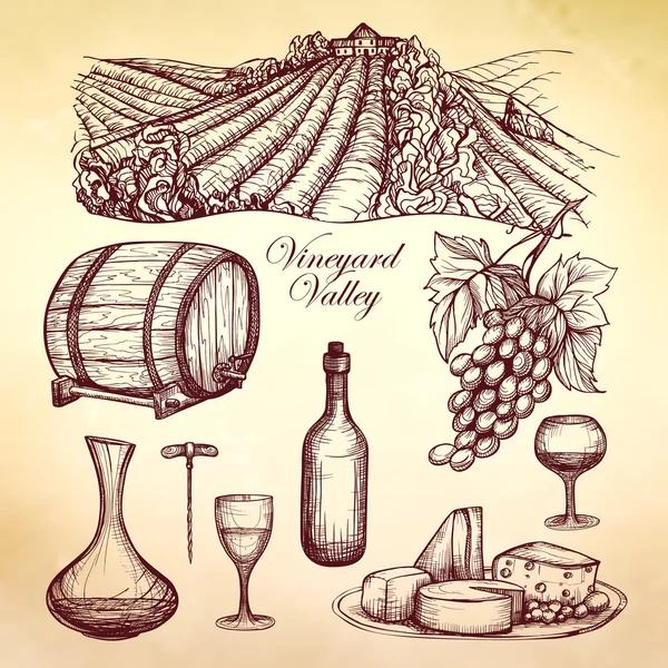 葡萄酒的素描集合 — 图库矢量图片