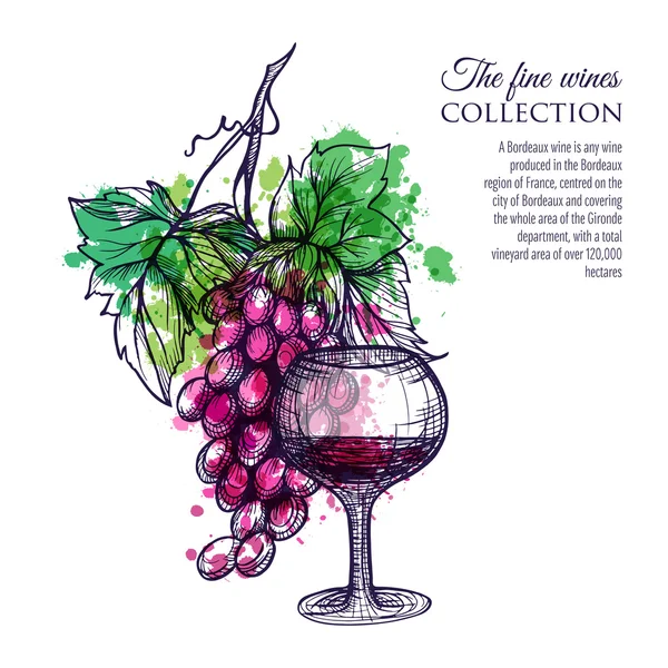 Vinho tinto com uva — Vetor de Stock