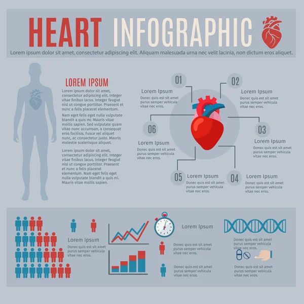 Infografiken zum menschlichen Herzen — Stockvektor
