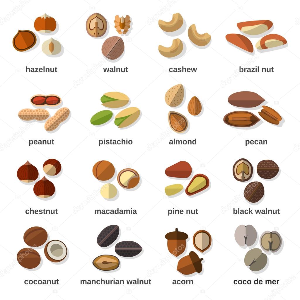 Nuts Flat Icons Set