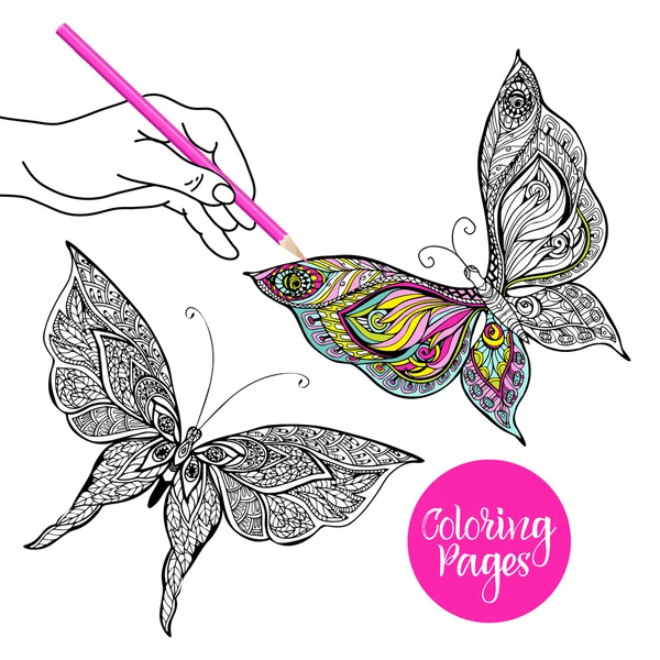Illustration couleur papillon — Image vectorielle