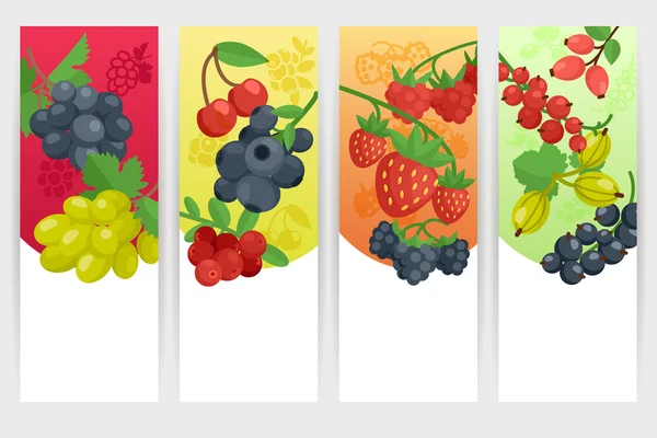 Berries Color Banners Set — Stock Vector