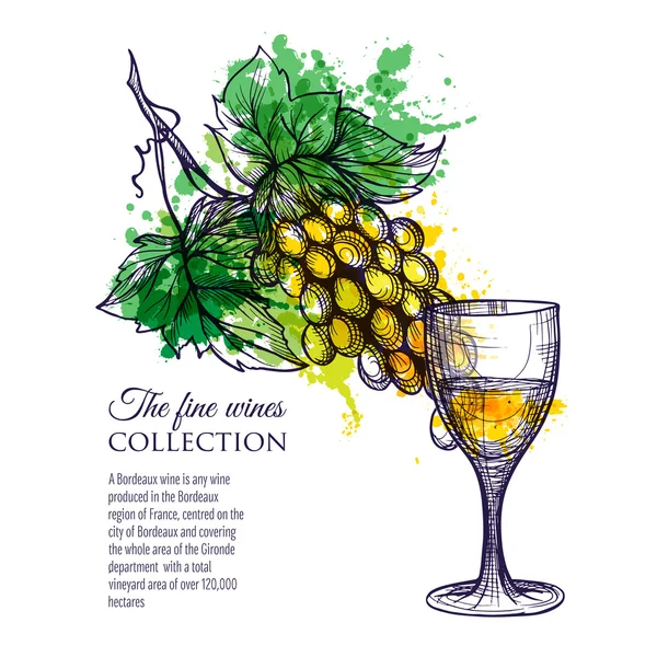 Glas vitt vin med gren druvor — Stock vektor