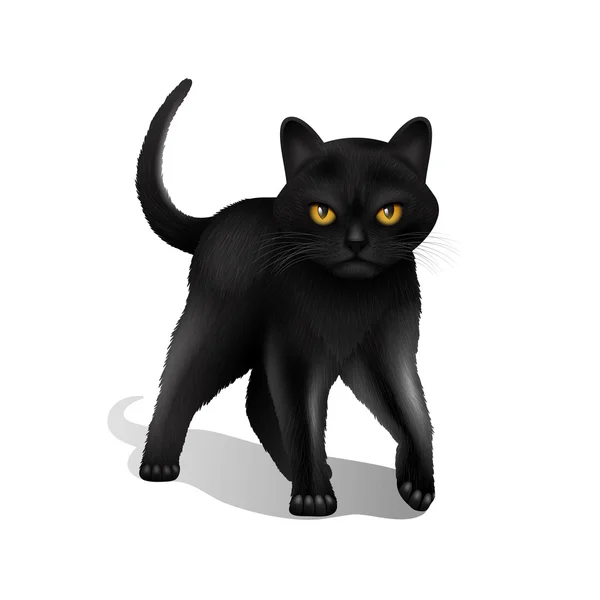 Gato negro realista — Vector de stock