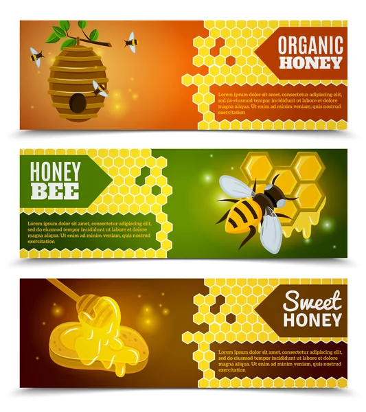 Conjunto de banners de mel — Vetor de Stock
