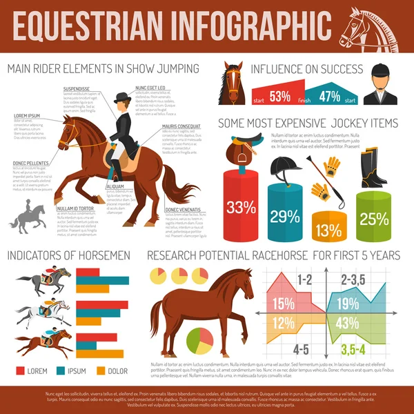 Atlı spor Infographic — Stok Vektör