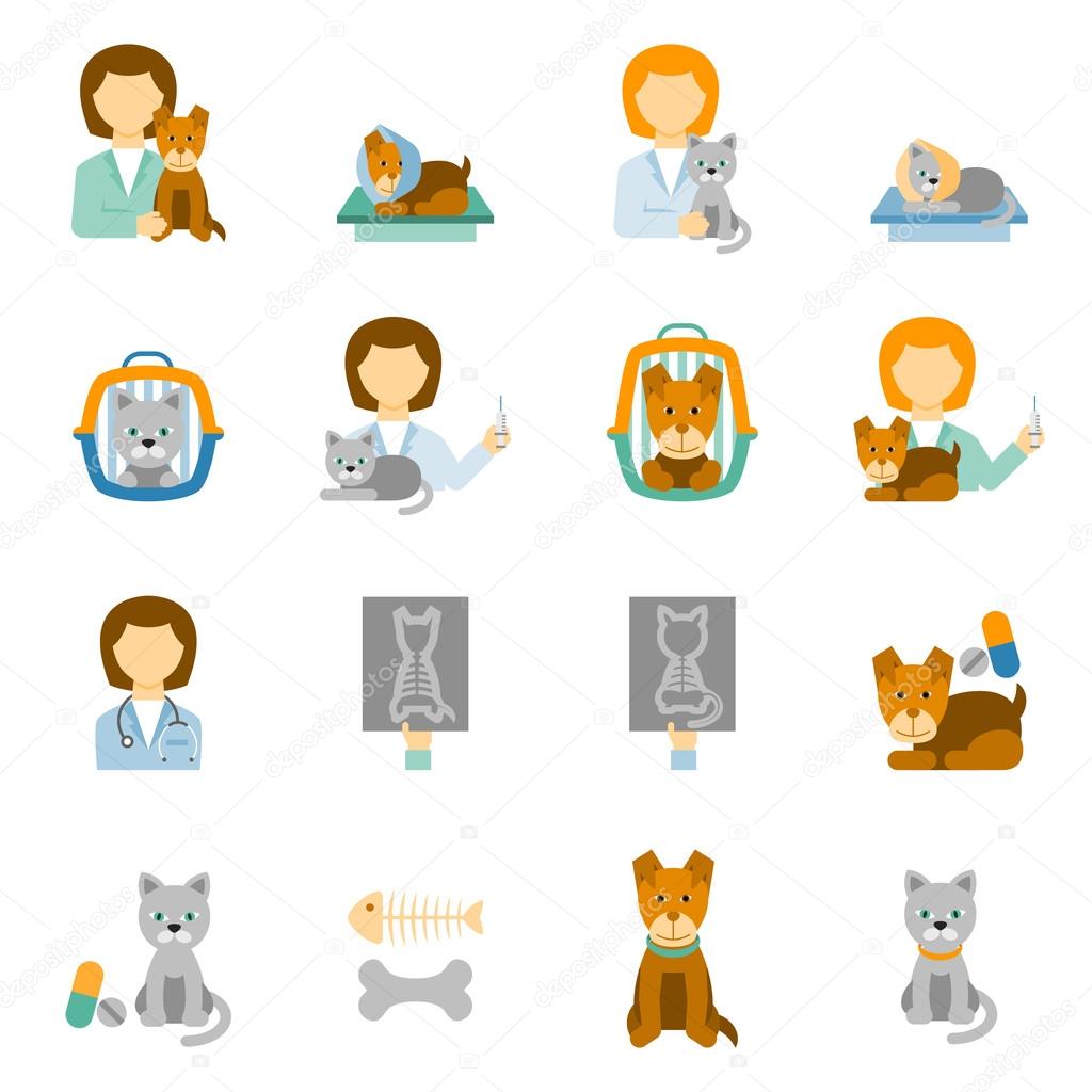 Veterinary clinic practice flat icons set