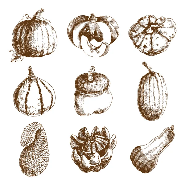 Calabaza mano dibujado iconos conjunto garabato — Archivo Imágenes Vectoriales