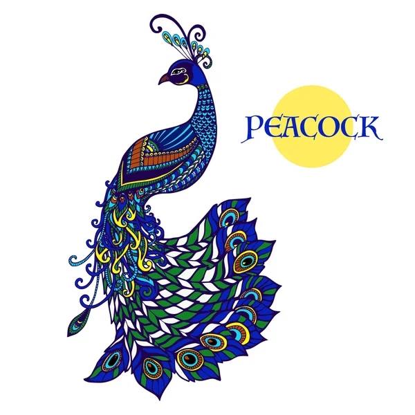 Diseño decorativo de pavo real garabato impresión en color — Archivo Imágenes Vectoriales