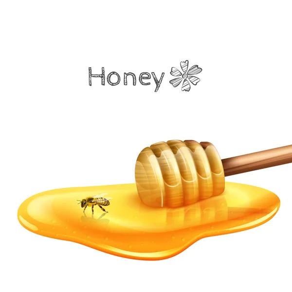 Honey Puddle With Stick — Stock Vector