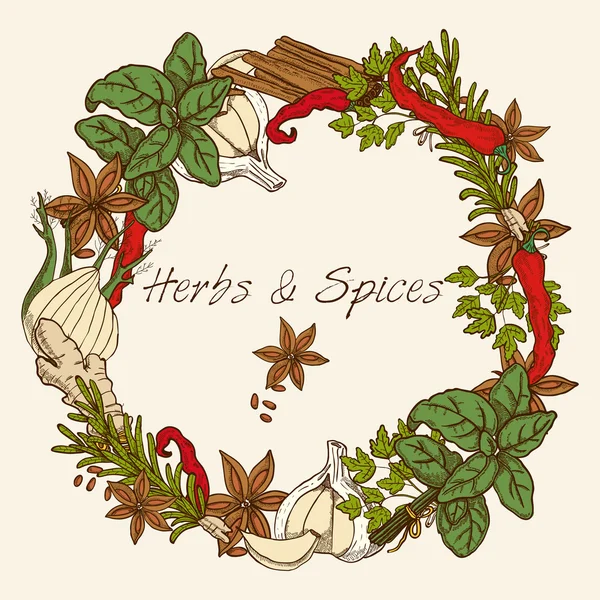 Herbs And Spices Round Frame — Stock Vector